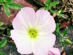 -华东政法大学(松江校区)