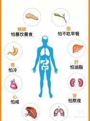 点击看大图 -香薇妮丝女子减肥院