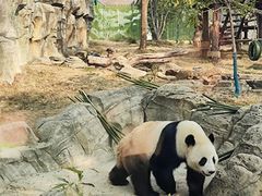 -武汉动物园