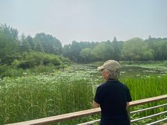 -郑州植物园