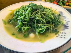 蒜蓉萝卜苗-印象徽州·正宗徽菜体验店