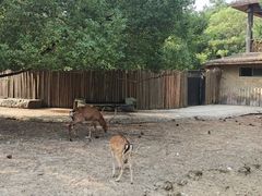 -南昌动物园