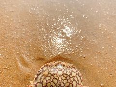 -青岛银沙滩