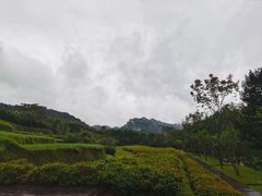 -唐崖土司城遗址