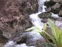 -龙湾潭国家森林公园