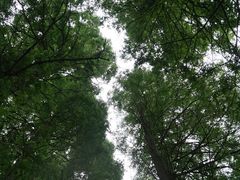 -同里国家湿地公园
