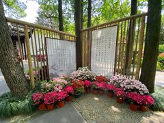 -上海醉白池公园