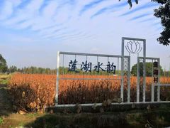 -大莲湖农家乐(青西郊野公园店)