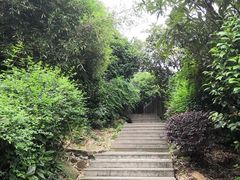 -九龙潭景区