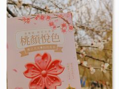 -桃花堤公园