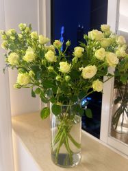 -闺蜜瑜伽·普拉提女性塑形馆