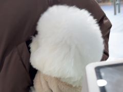 -佳雯宠物医院·皮肤科·内外科(春晓路分院)