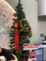 -风生造型