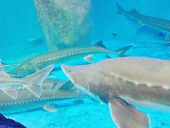 -多彩贵州城极地海洋世界