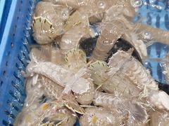 -丰卓会海鲜自助(中润大道店)