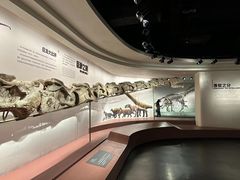 -自贡恐龙博物馆