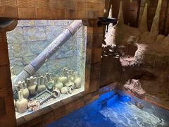 -新加坡水上探险乐园