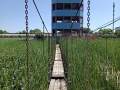 -河北村民俗体验园