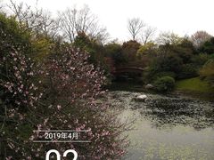 -桃花岛景观公园