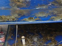 -阳澄湖大闸蟹·琼灵阁牌品牌连锁(吴中总店)