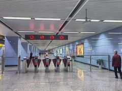 -大龙山(地铁站)