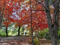 -长春市南湖公园