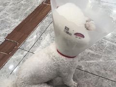 -全心全意连锁动物医院(石景山店)