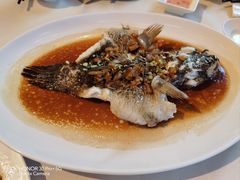 -利苑酒家(金宝店)