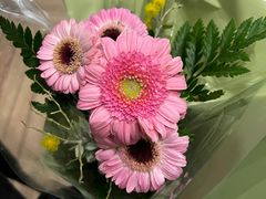 -KPRO 帕尼尼·沙拉·缤纷拼盘(万象城店)