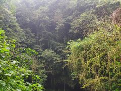 -海口火山口国家地质公园