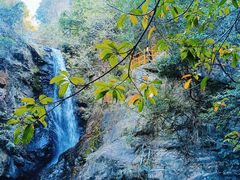 -马峦山郊野公园