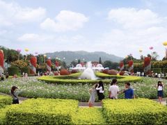 -东南花都花博园