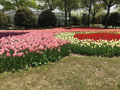 -上海鲜花港