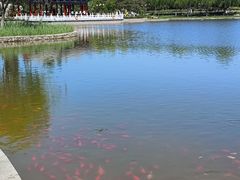 -西海子公园