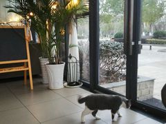-MOMENT湖景餐厅(解放路店)