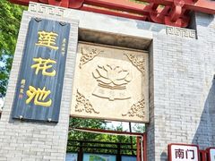 -莲花池公园