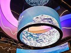 -碧涛阁·泡泡海洋·汤泉洗浴(王府花园店)