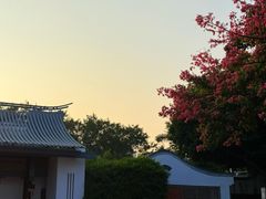 -白鹭洲公园