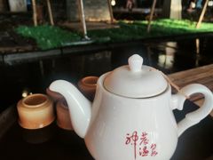 -陆地游轮吉林神农温泉