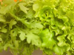 -湊湊火锅·茶憩(南京万象天地店)