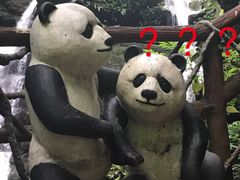 -胖师鱼馆非遗砂锅雅鱼(大北街店)