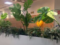 -宜家·瑞典风味餐厅(烟台路店)