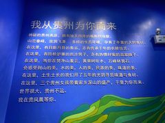 -贵凤凰贵州米粉(望京店)