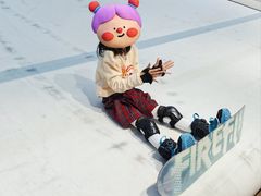 -SNOWGATE滑雪·华雪梦(老西门店)