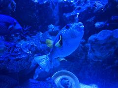 -海合安成都极地海洋公园