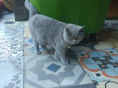 -动动咖啡清真西餐厅