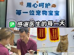 -纳吉亚猫专科动物医院博雅分院