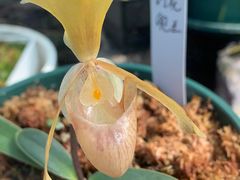 -国家植物园南园