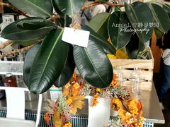 -CHILLAX轻乐时(侨建·Hi City店)