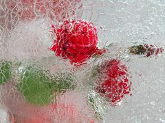 -万达广场(太原街店)